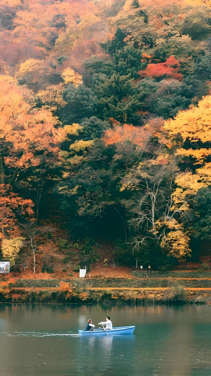 最新电影1
